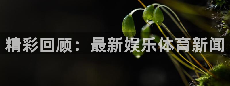精彩回顾：最新娱乐体育新闻
