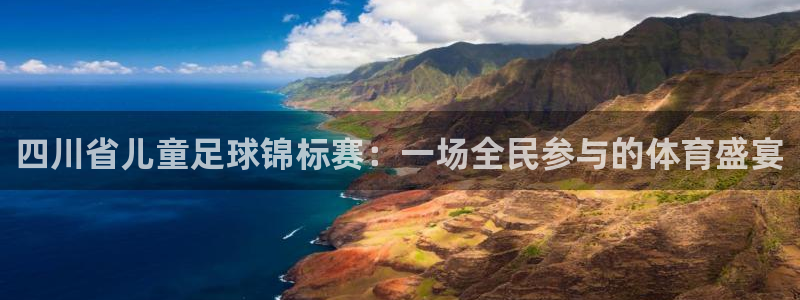 四川省儿童足球锦标赛：一场全民参与的体育盛宴