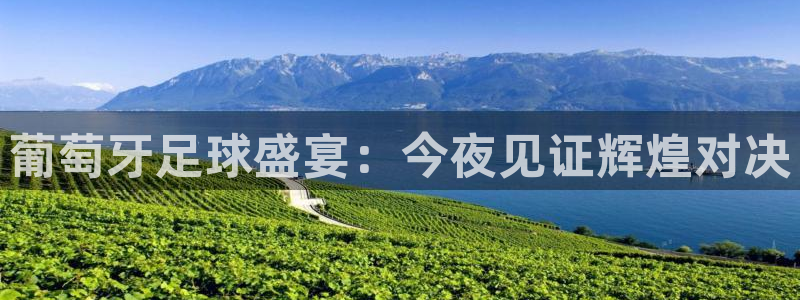 葡萄牙足球盛宴：今夜见证辉煌对决