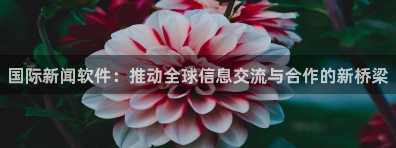 国际新闻软件：推动全球信息交流与合作的新桥梁