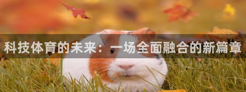 科技体育的未来：一场全面融合的新篇章