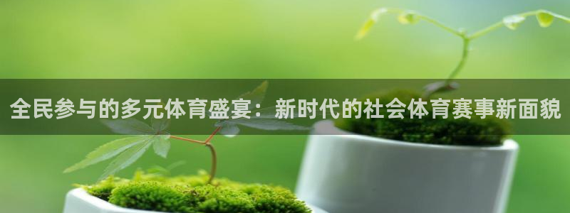 全民参与的多元体育盛宴：新时代的社会体育赛事新面貌