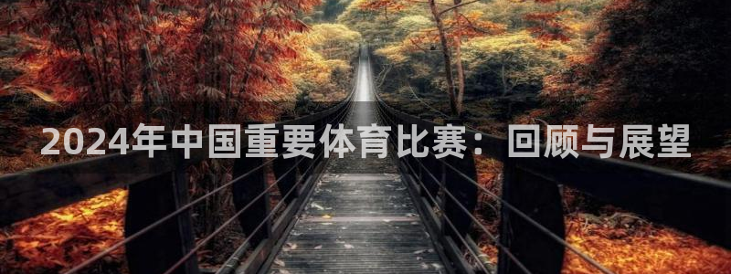 2024年中国重要体育比赛：回顾与展望