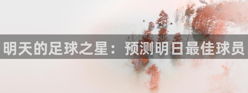 明天的足球之星：预测明日最佳球员