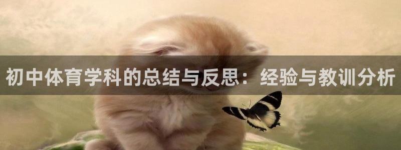 初中体育学科的总结与反思：经验与教训分析