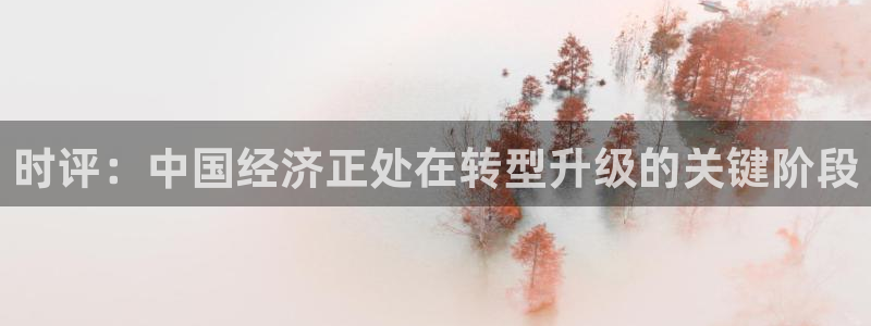 时评：中国经济正处在转型升级的关键阶段