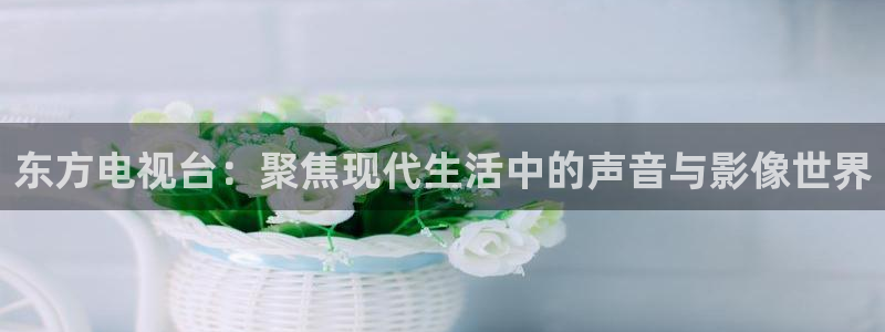 东方电视台:聚焦现代生活中的声音与影像世界