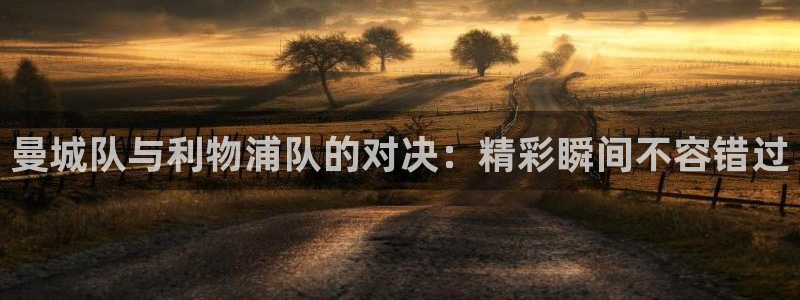 曼城队与利物浦队的对决:精彩瞬间不容错过