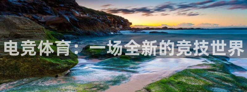 电竞体育：一场全新的竞技世界